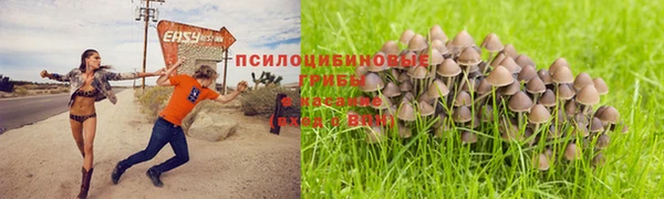 герыч Ростов