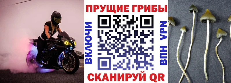 Галлюциногенные грибы мицелий Грязи